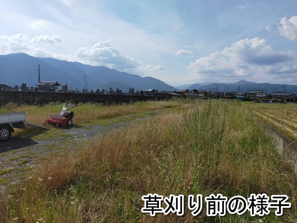 山県市での草刈り作業